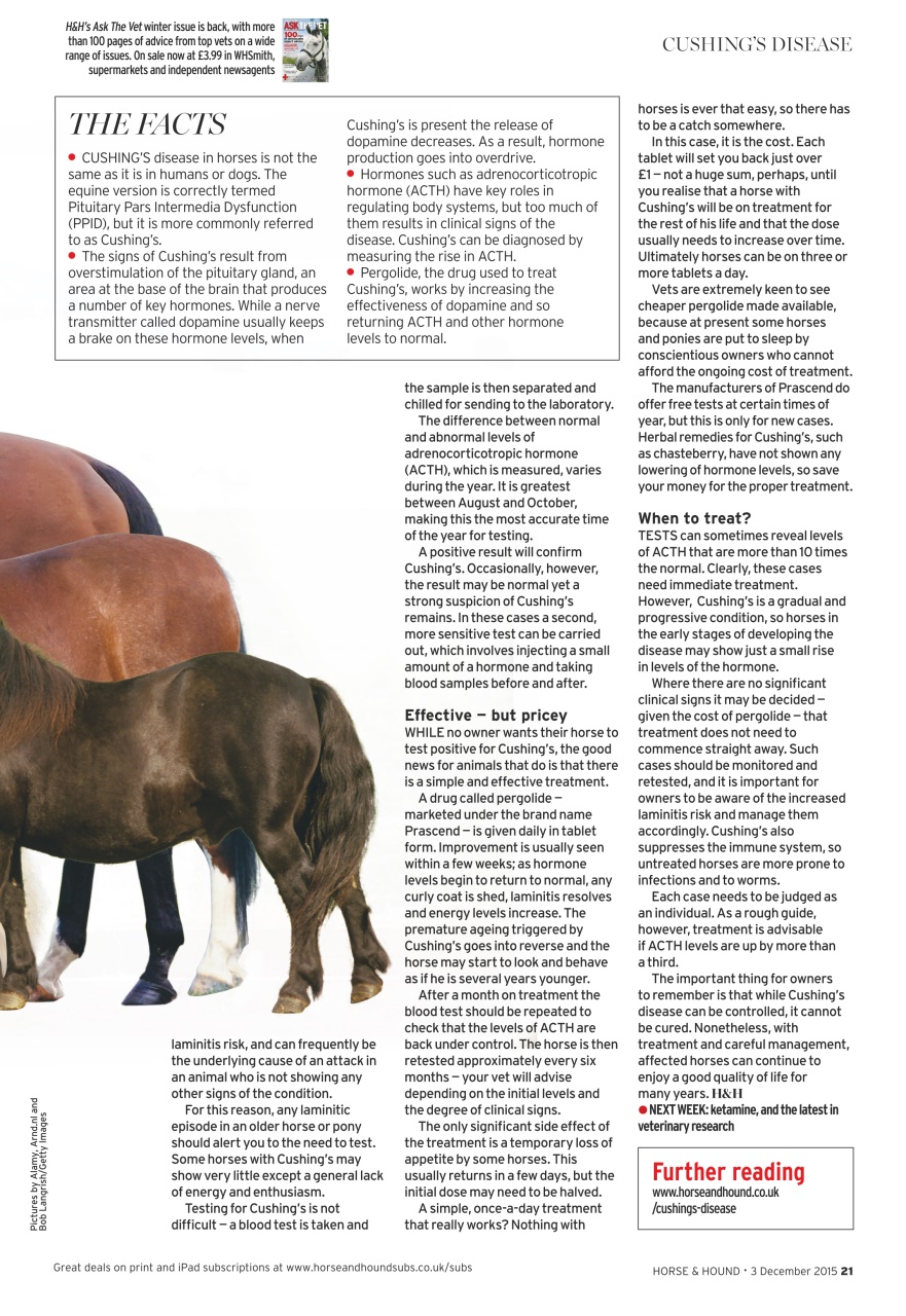 Horse & Hound Preview Pages