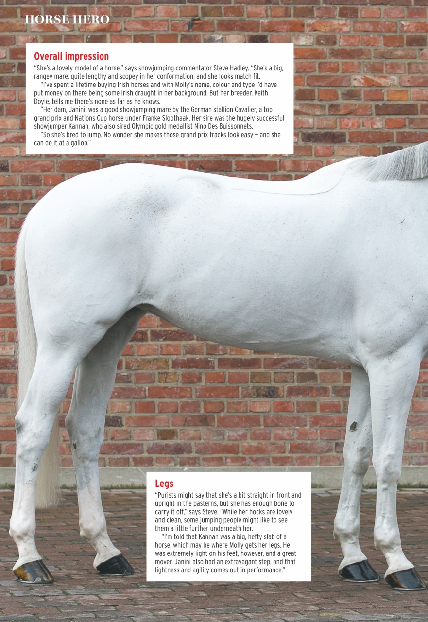 Horse & Hound Preview Pages