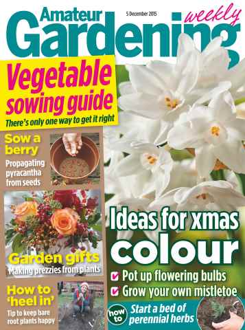 Amateur Gardening issue 5th December 2015