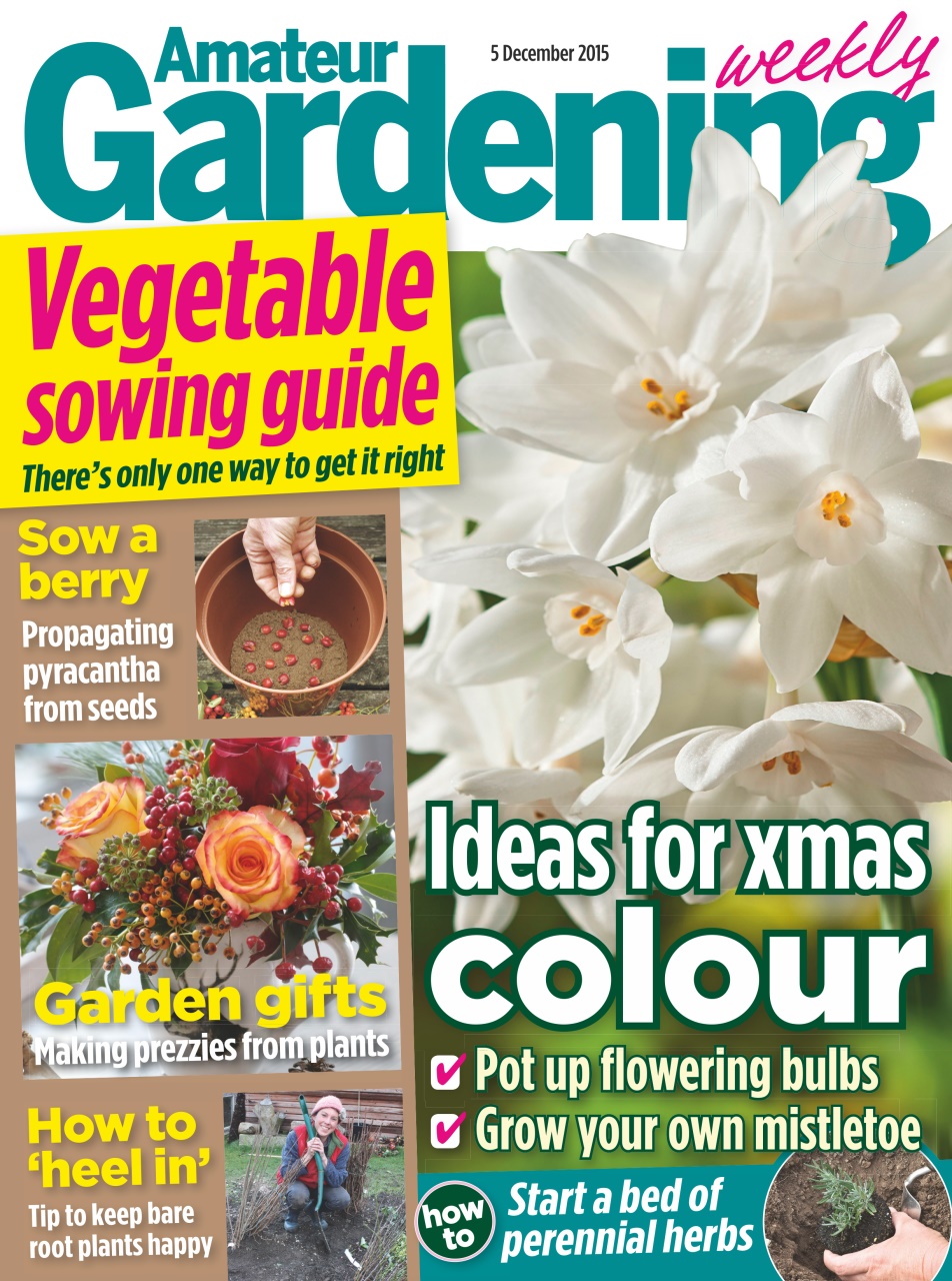 Amateur Gardening Preview Pages