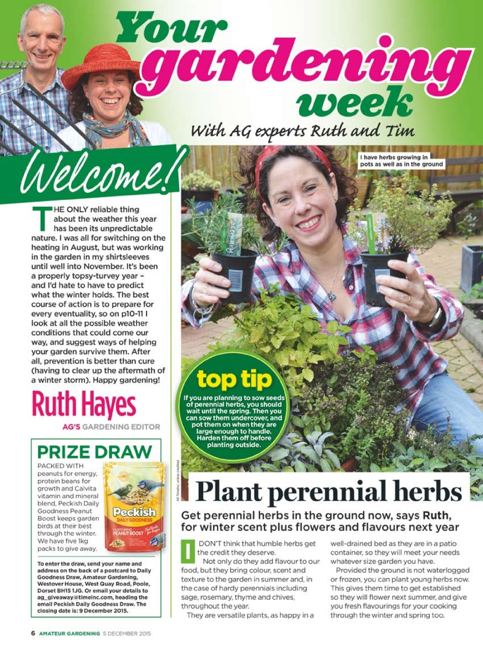 Amateur Gardening Preview Pages