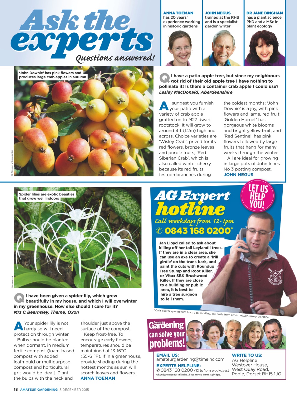 Amateur Gardening Preview Pages