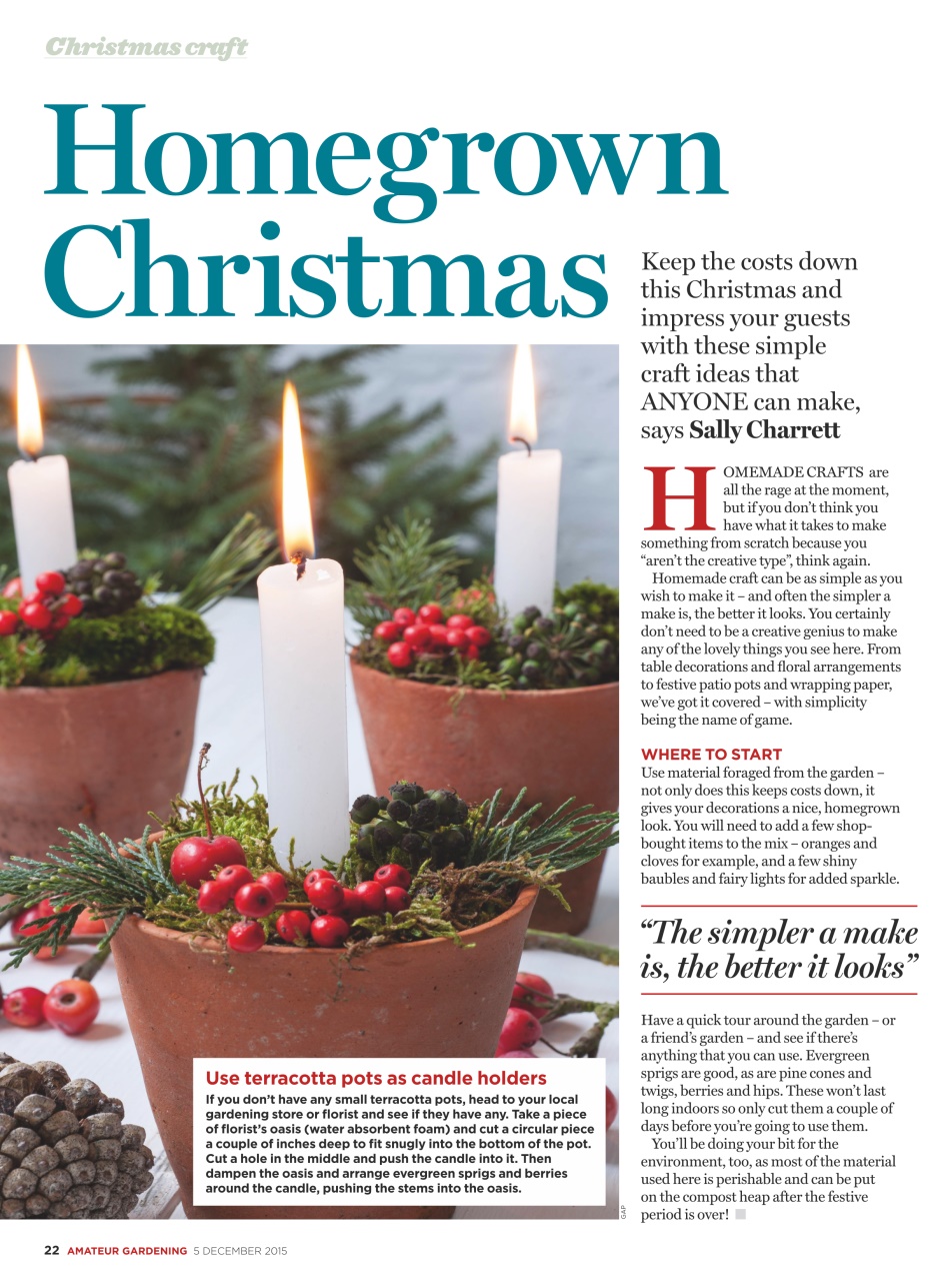 Amateur Gardening Preview Pages