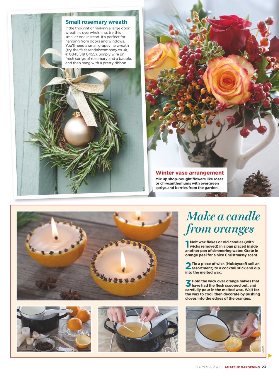 Amateur Gardening Preview Pages