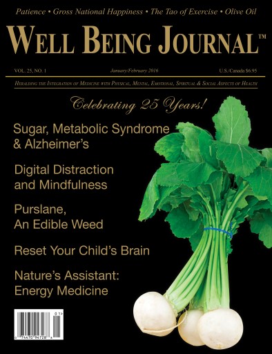 Well Being Journal issue 