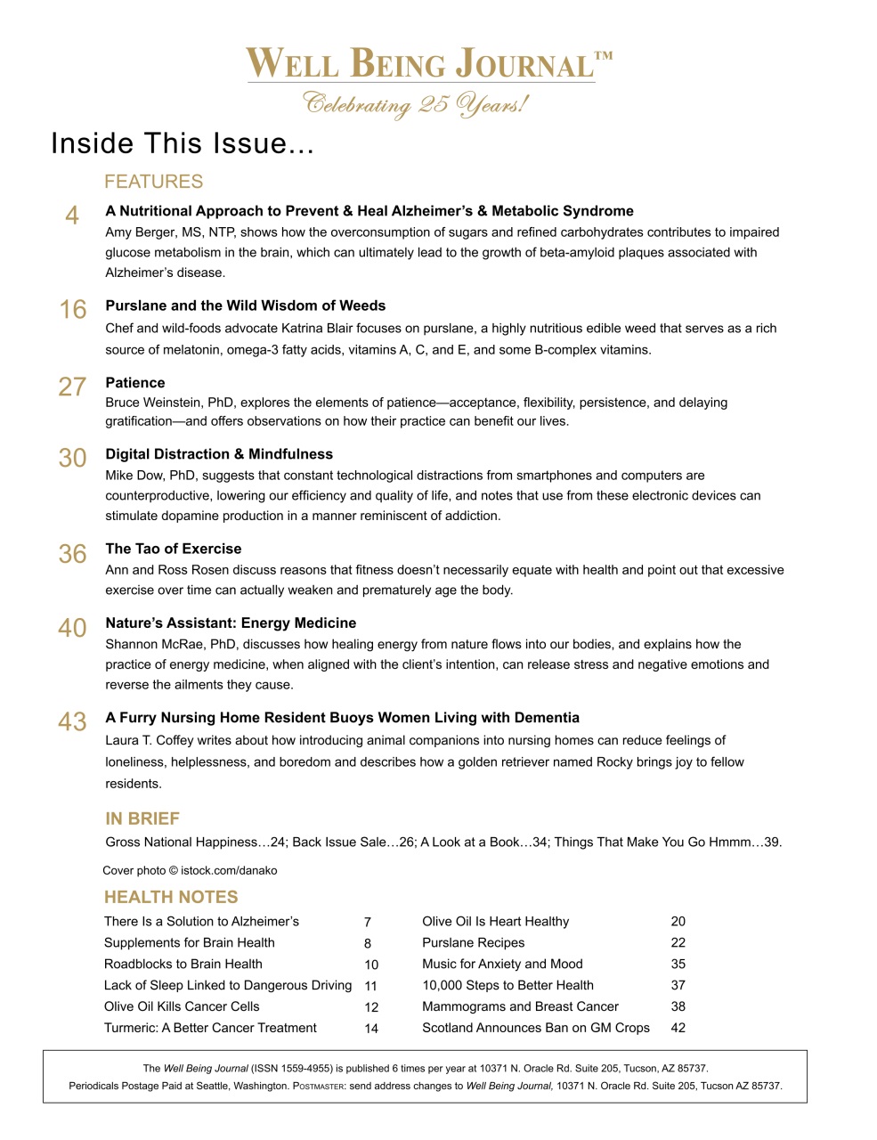 Well Being Journal Preview Pages