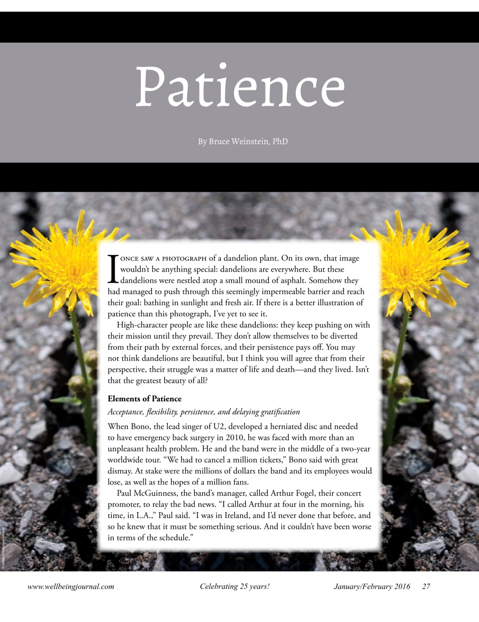 Well Being Journal Preview Pages