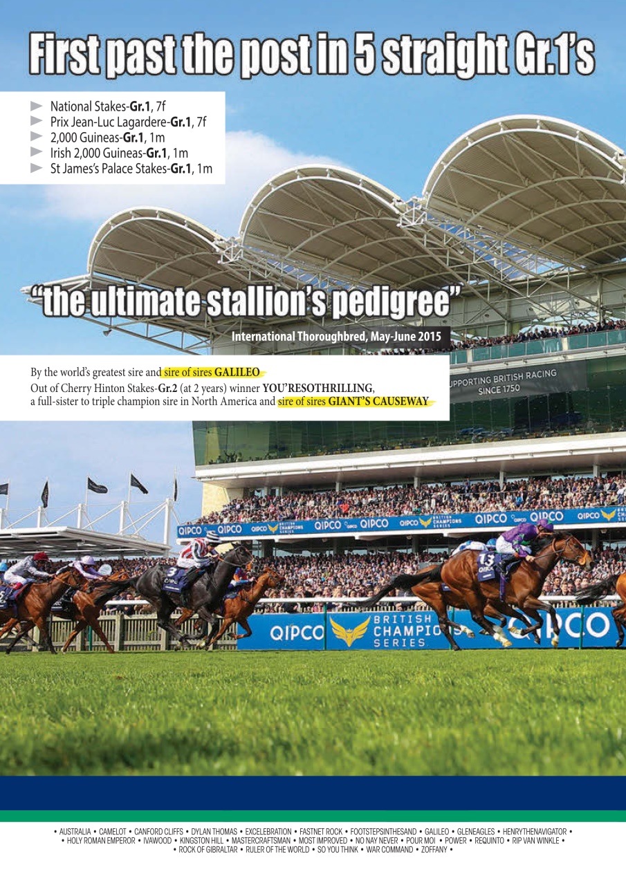 The Owner Breeder Preview Pages