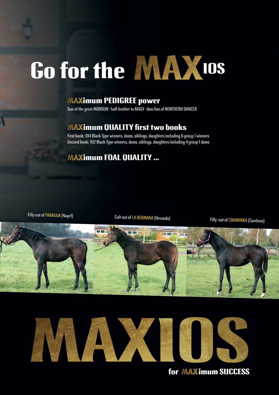 The Owner Breeder Preview Pages