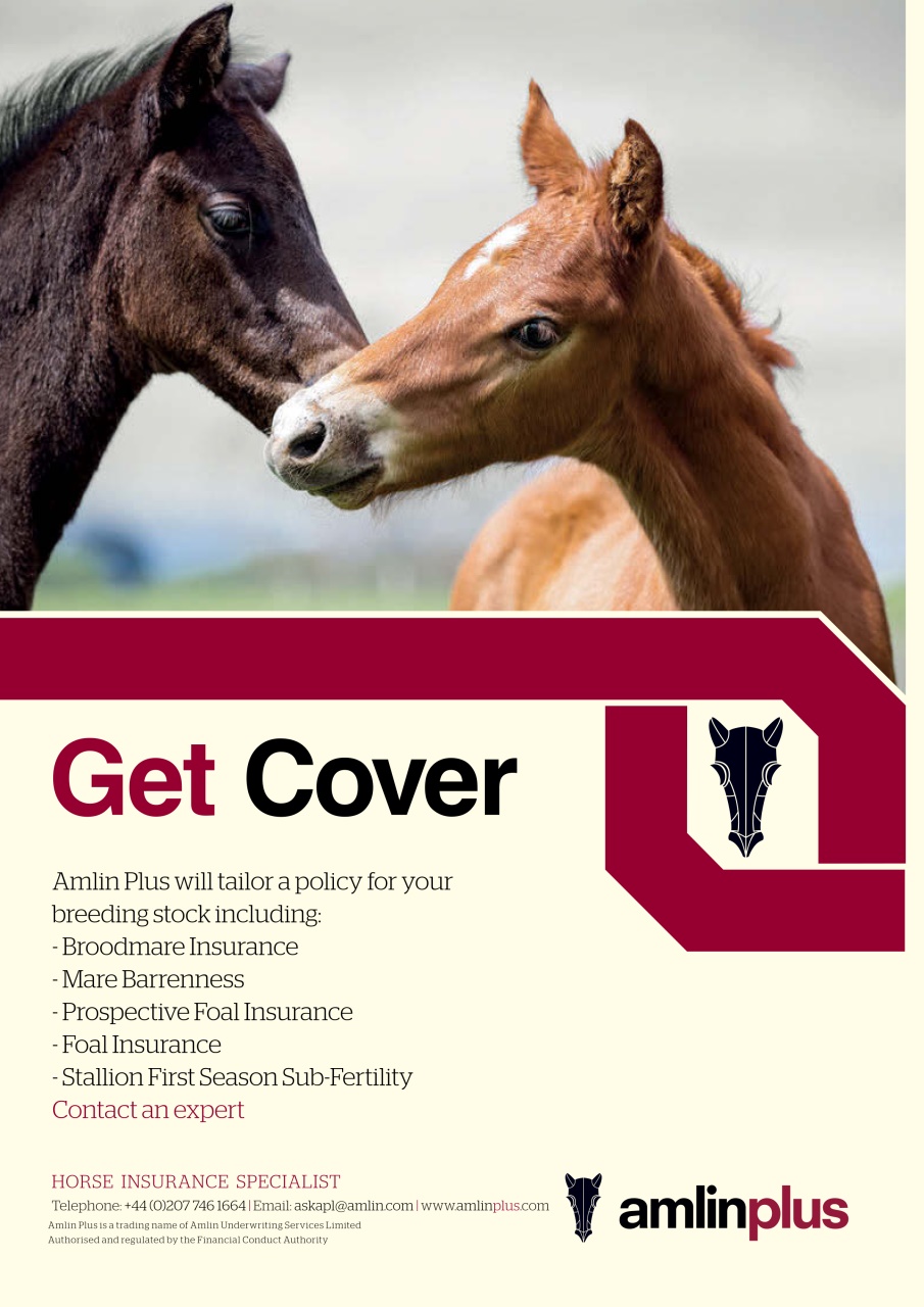 The Owner Breeder Preview Pages