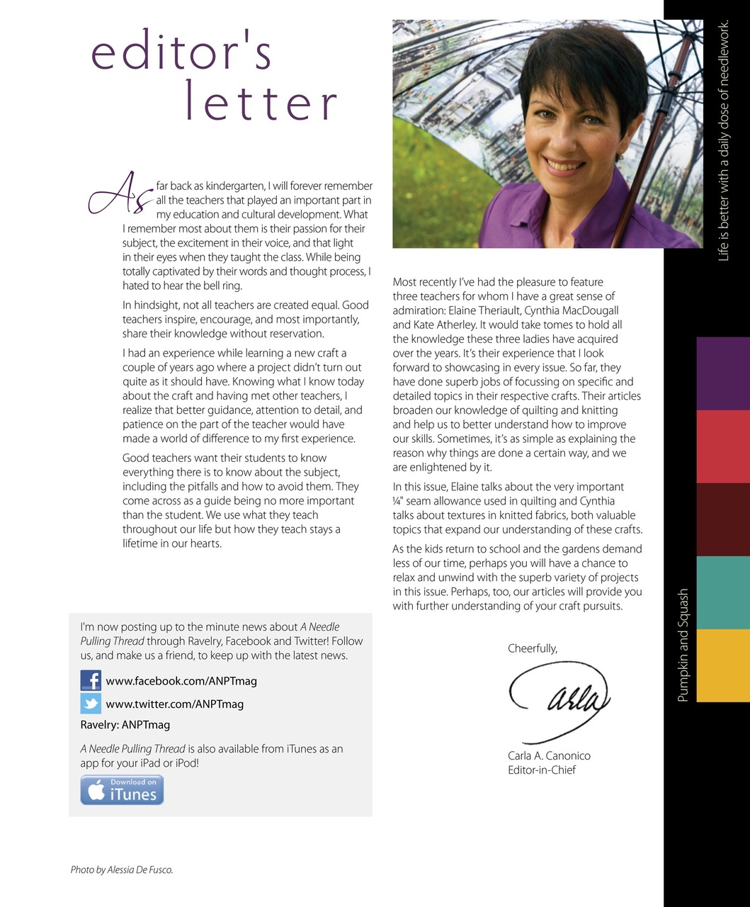 A Needle Pulling Thread Preview Pages