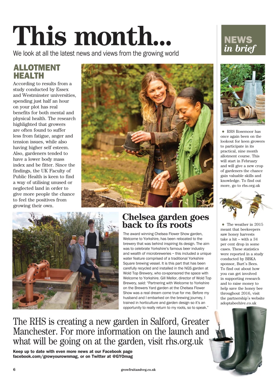 Grow Your Own Preview Pages