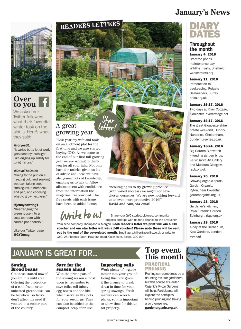 Grow Your Own Preview Pages