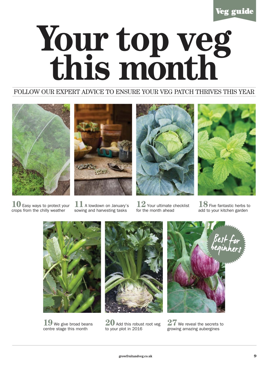 Grow Your Own Preview Pages