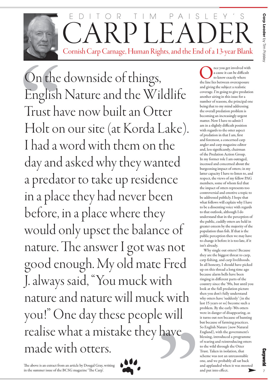 Carpworld Preview Pages