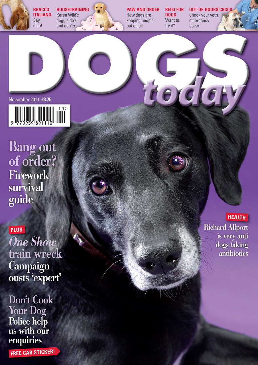 Dogs Today Magazine Preview Pages