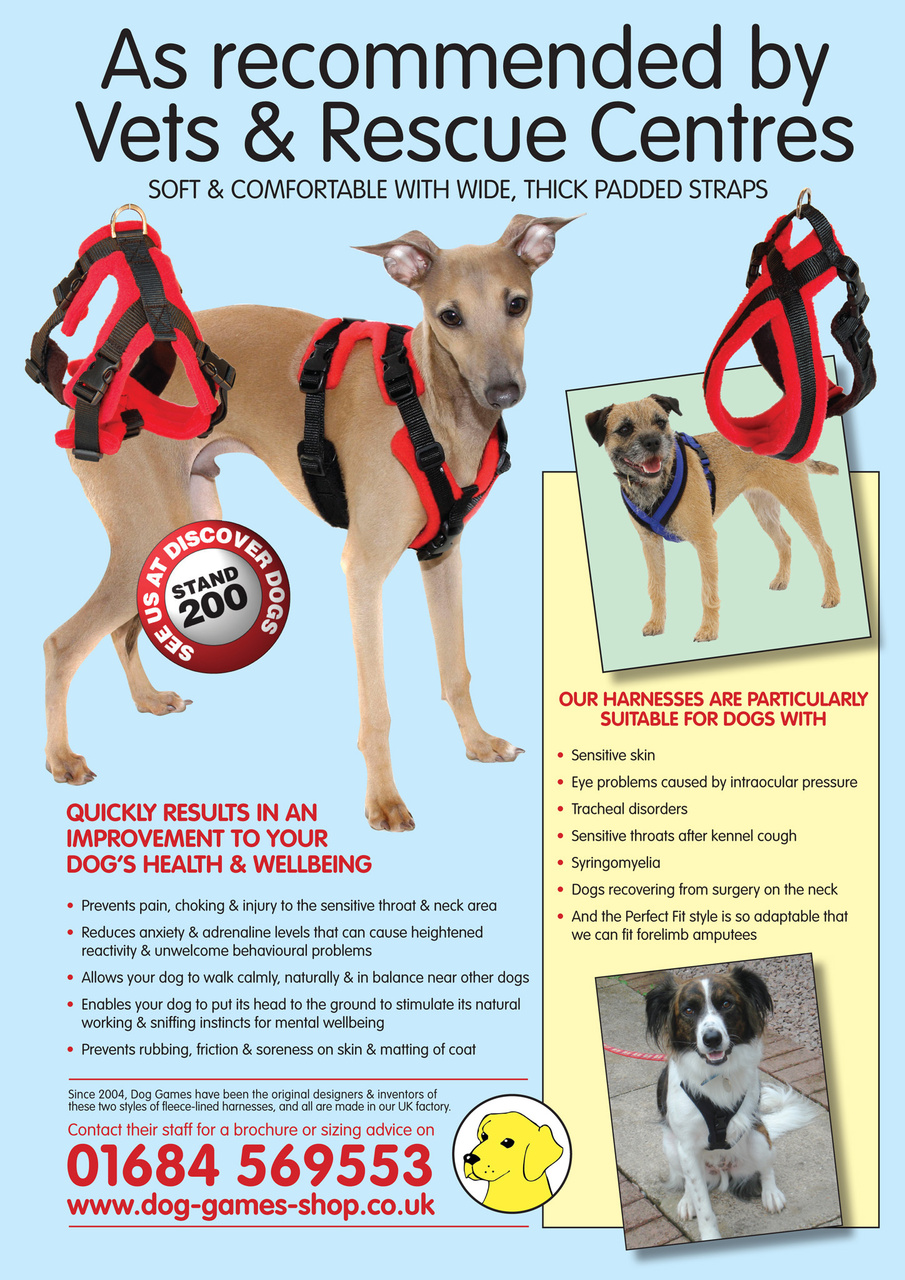 Dogs Today Magazine Preview Pages