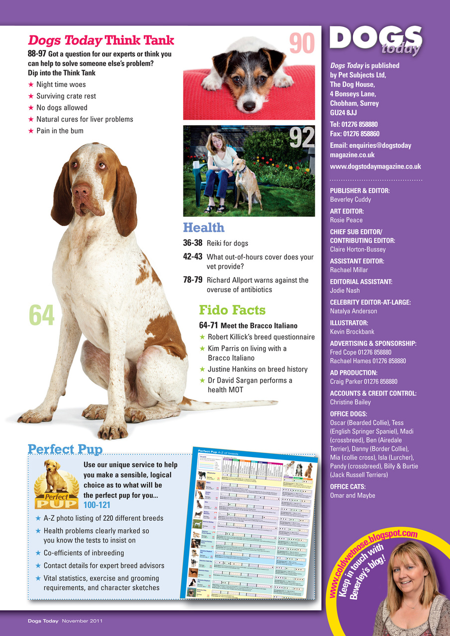 Dogs Today Magazine Preview Pages