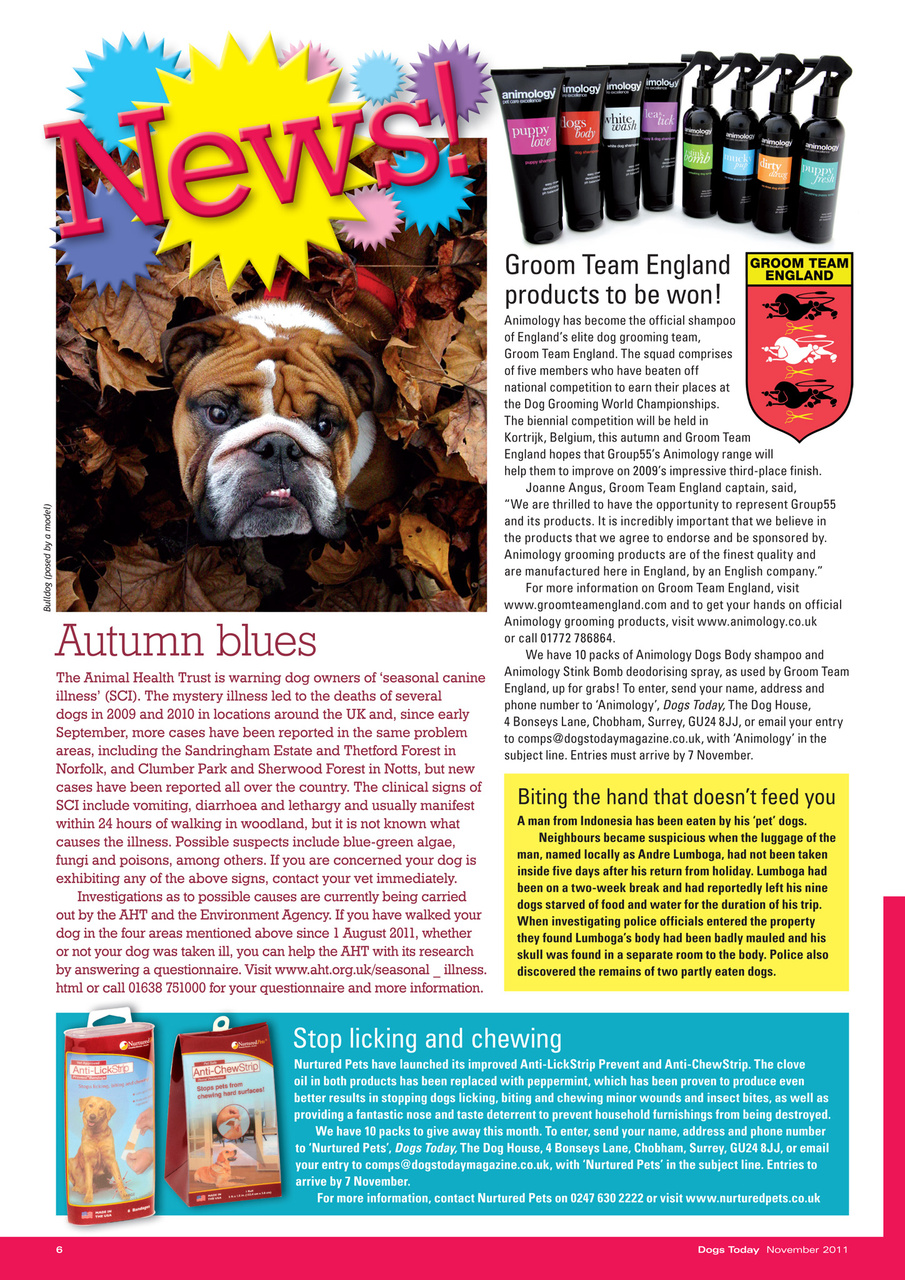 Dogs Today Magazine Preview Pages