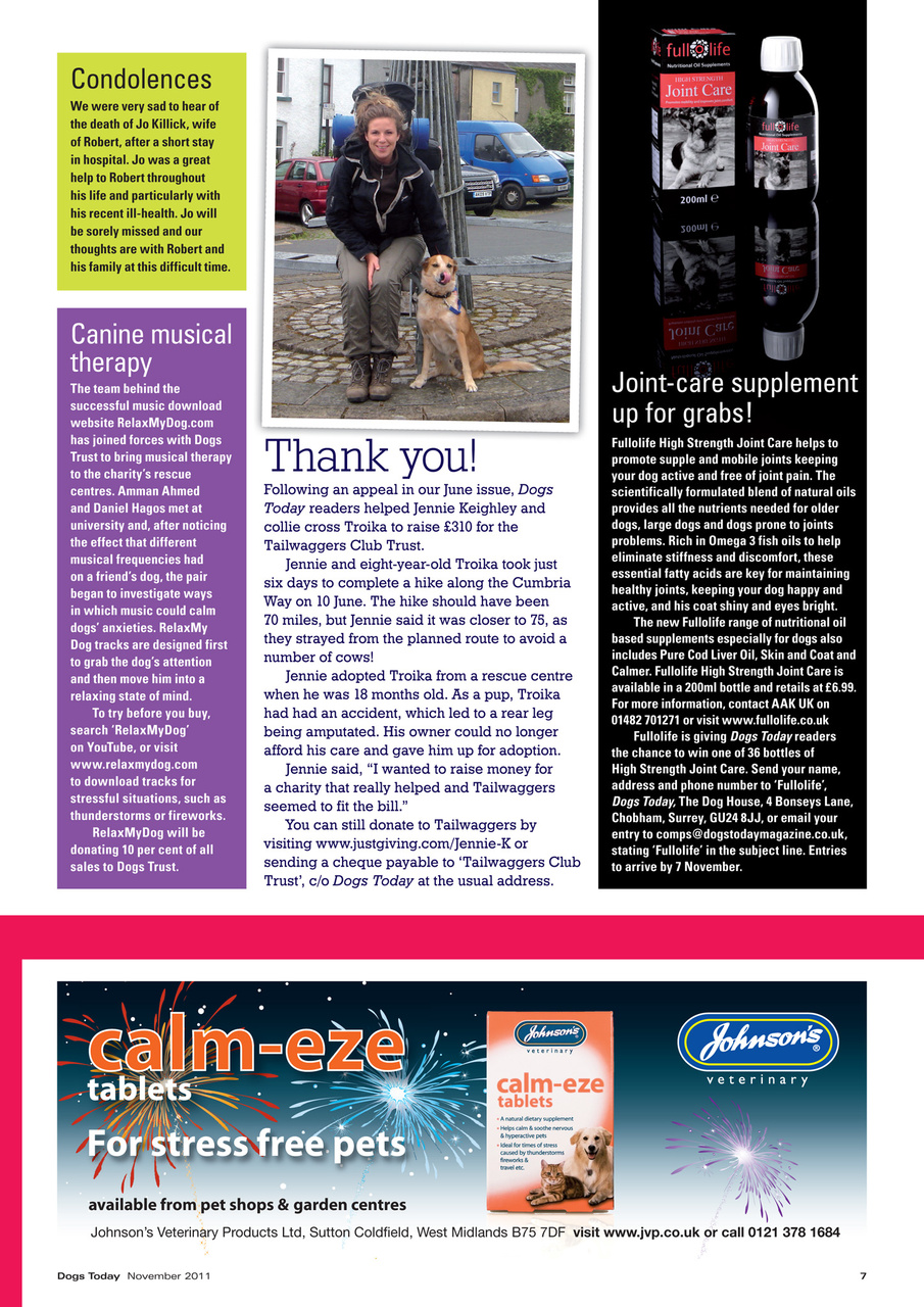 Dogs Today Magazine Preview Pages