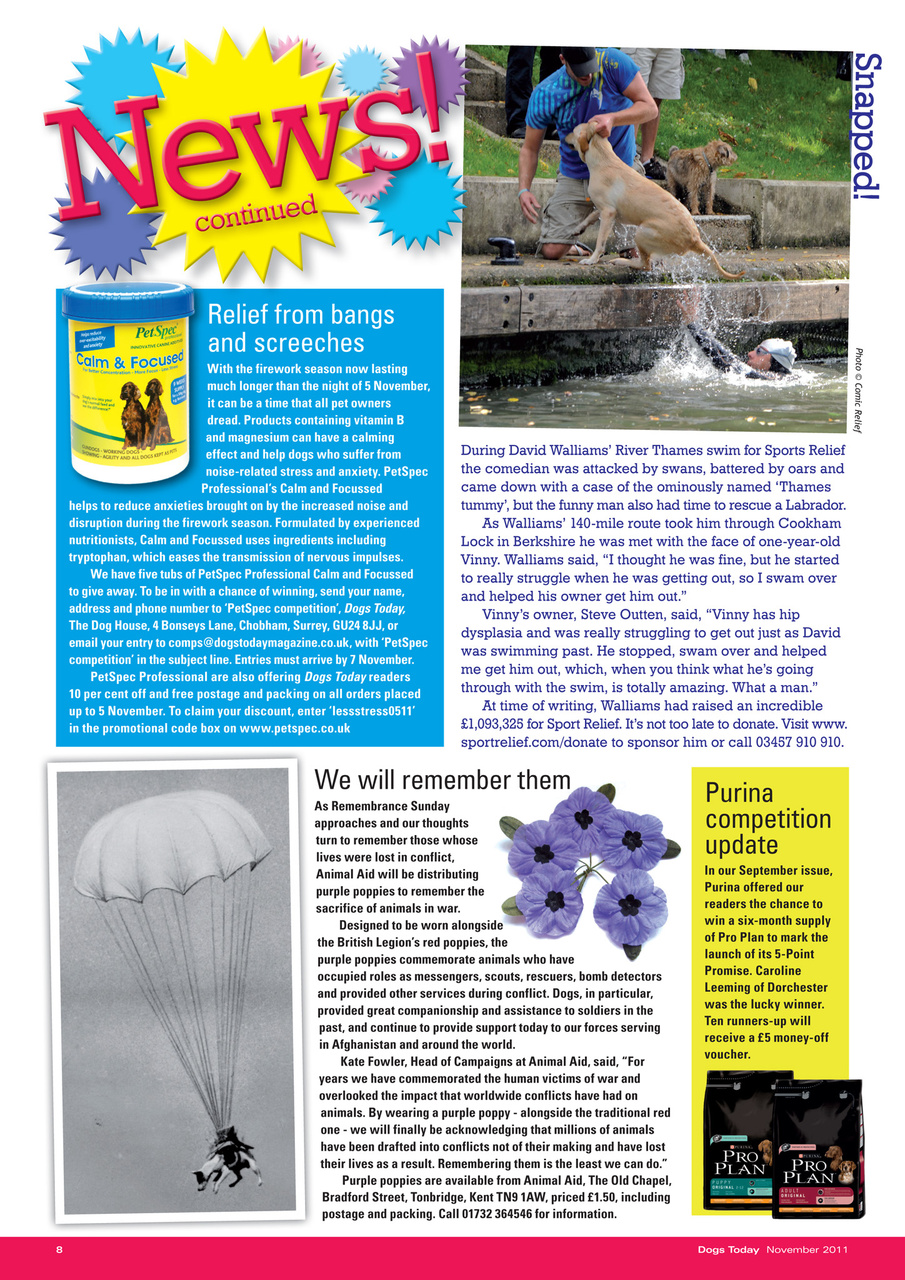 Dogs Today Magazine Preview Pages