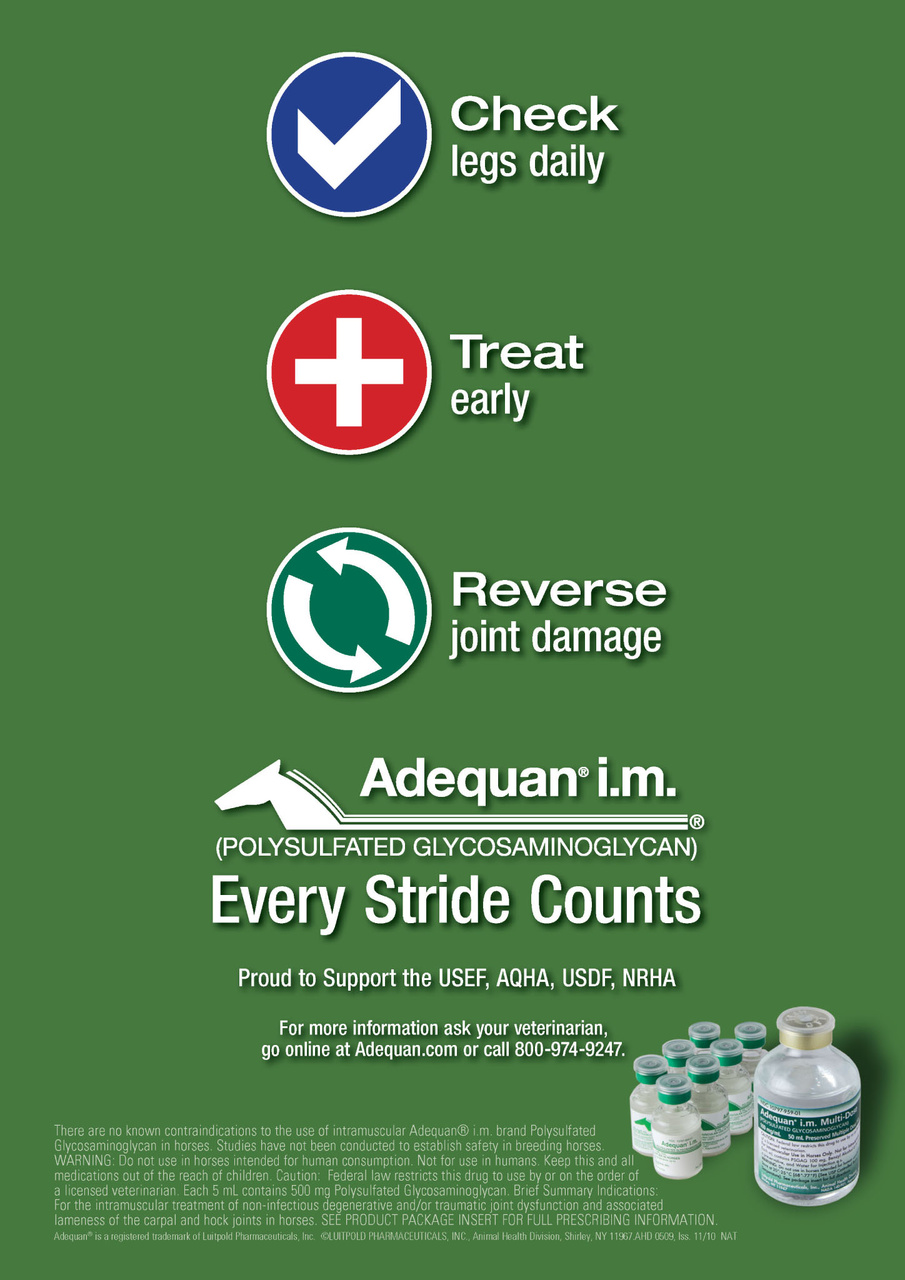 North American Trainer Magazine - horse racing Preview Pages