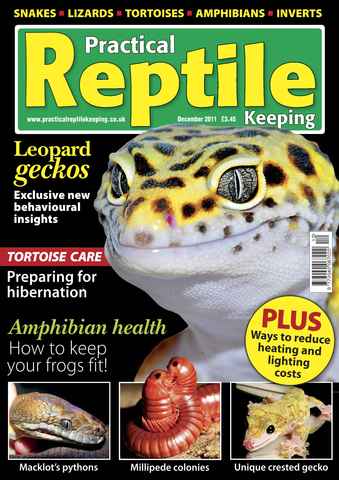 Practical Reptile Keeping issue No.31 Leopard Geckos