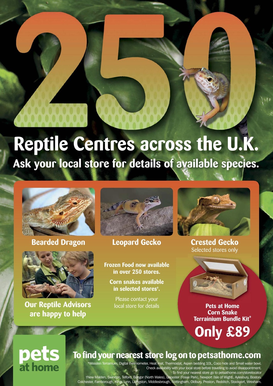 Practical Reptile Keeping Preview Pages