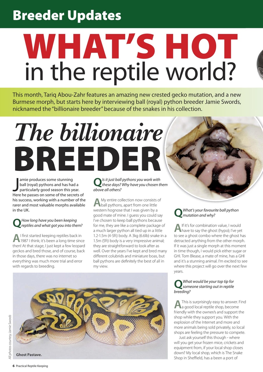 Practical Reptile Keeping Preview Pages