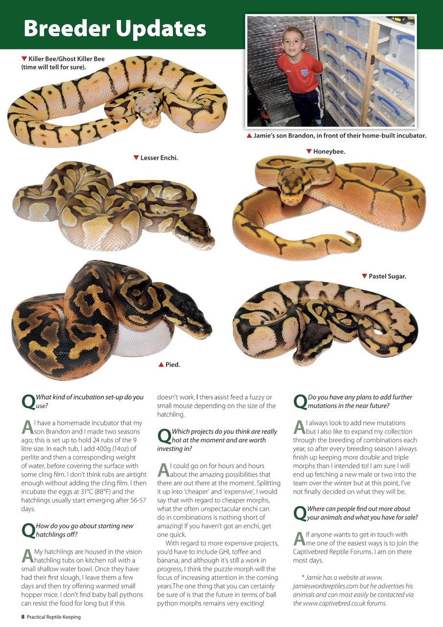 Practical Reptile Keeping Preview Pages