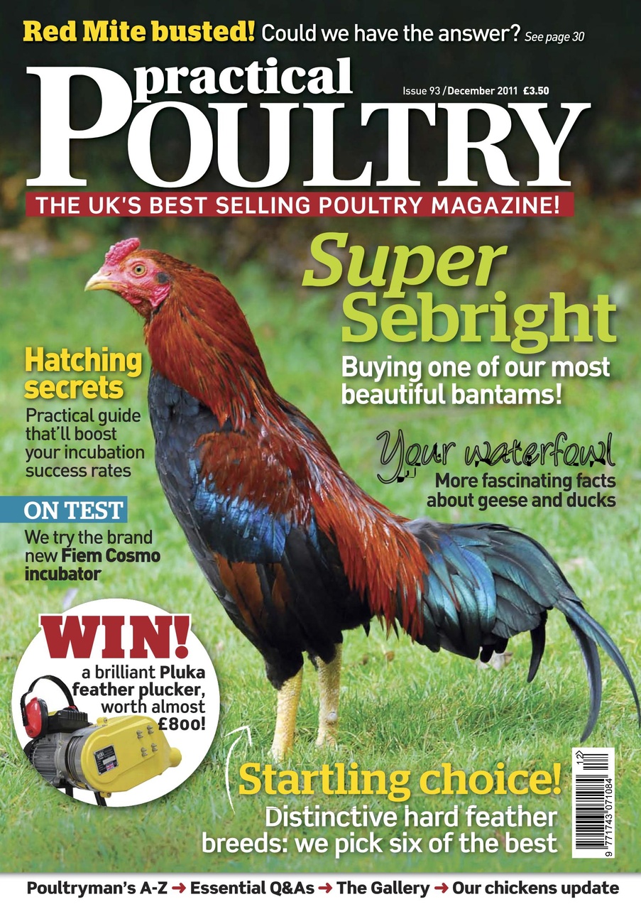 Practical Poultry Preview Pages