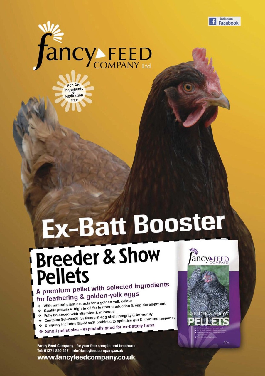 Practical Poultry Preview Pages