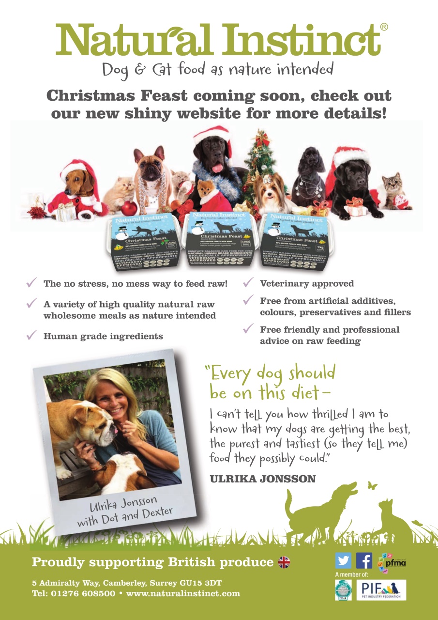 Dogs Monthly Preview Pages