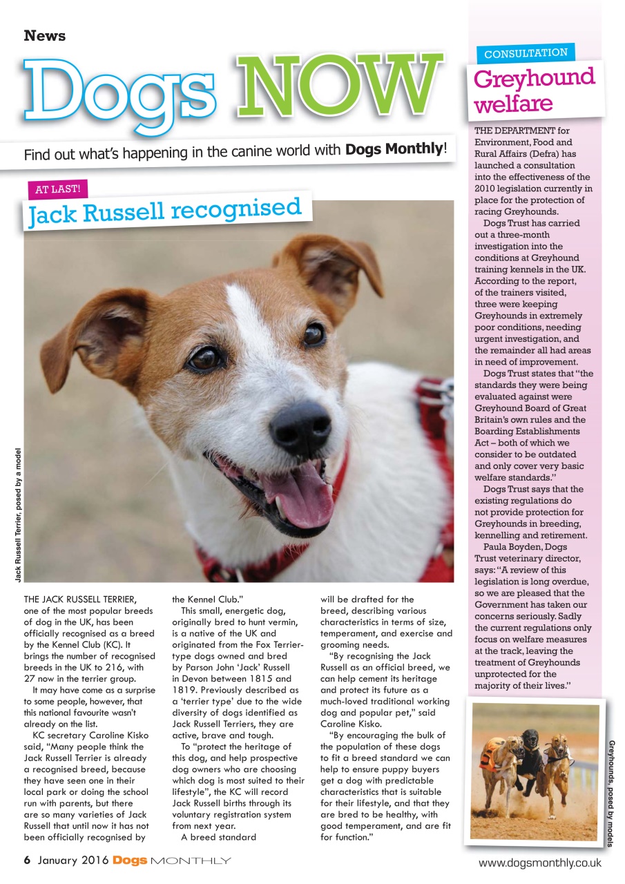 Dogs Monthly Preview Pages