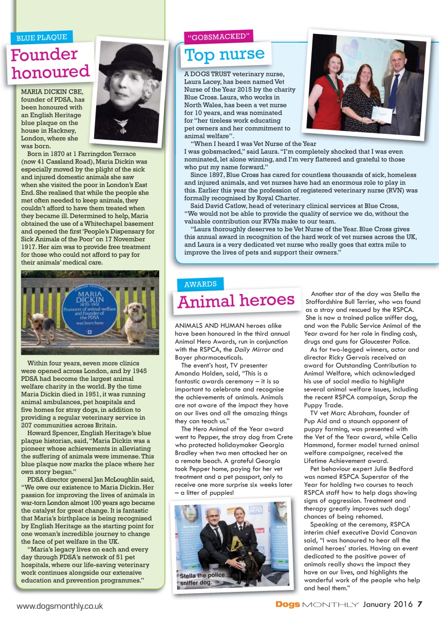 Dogs Monthly Preview Pages