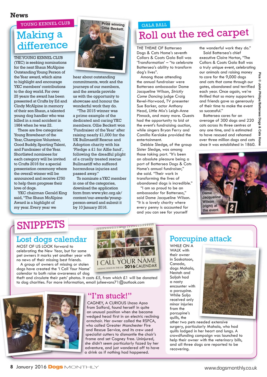 Dogs Monthly Preview Pages