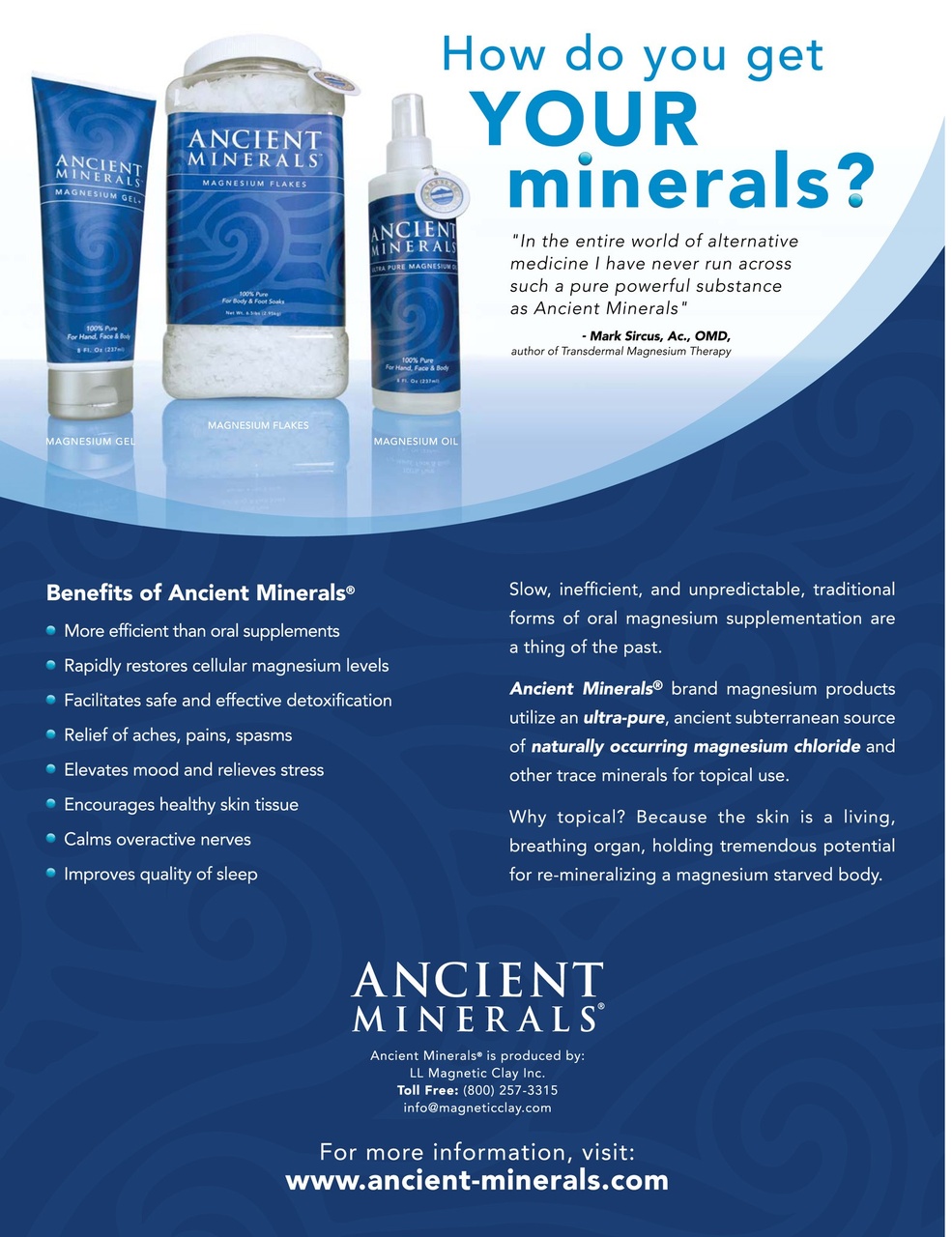 Well Being Journal Preview Pages