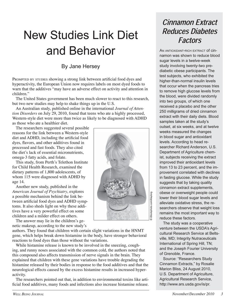 Well Being Journal Preview Pages