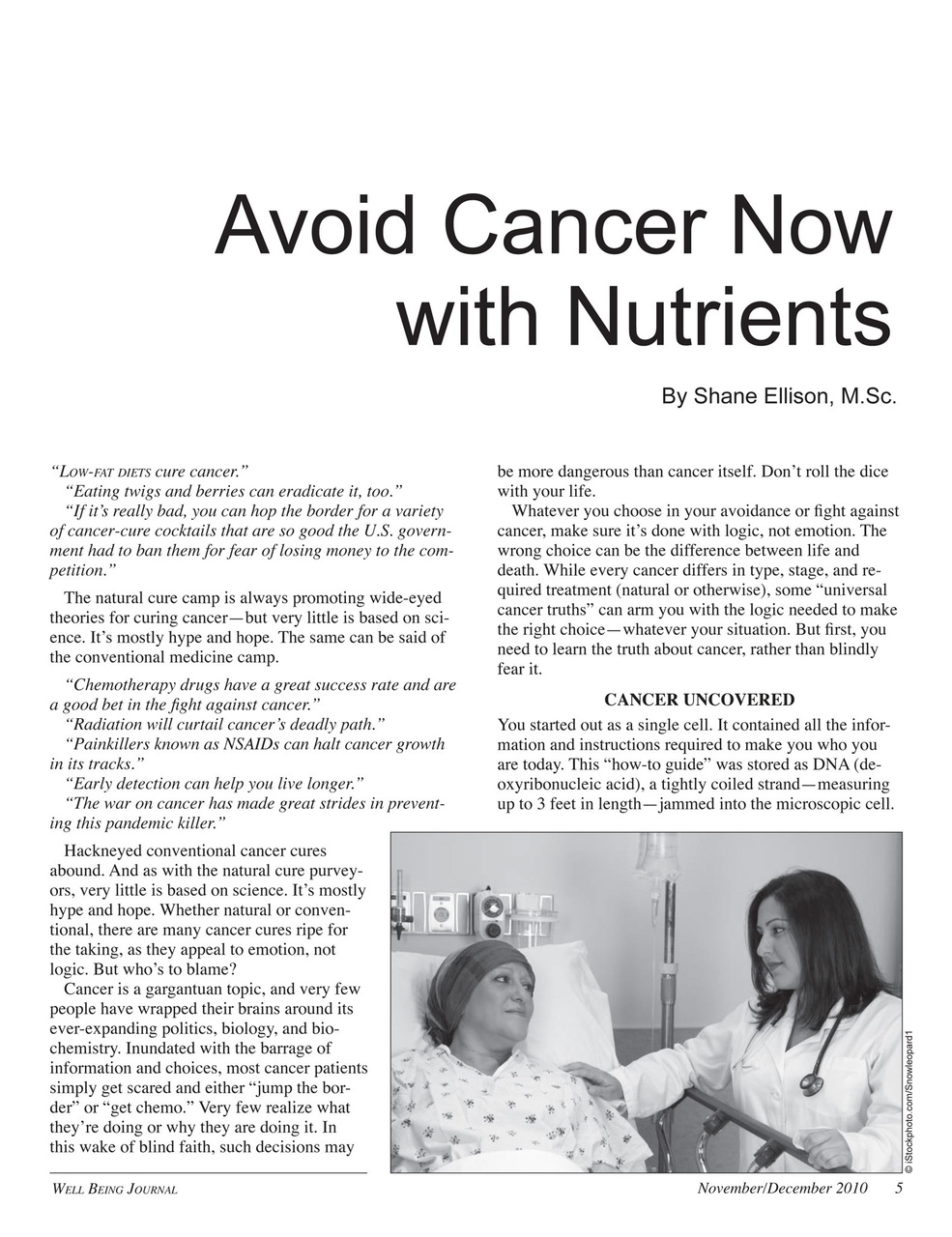 Well Being Journal Preview Pages