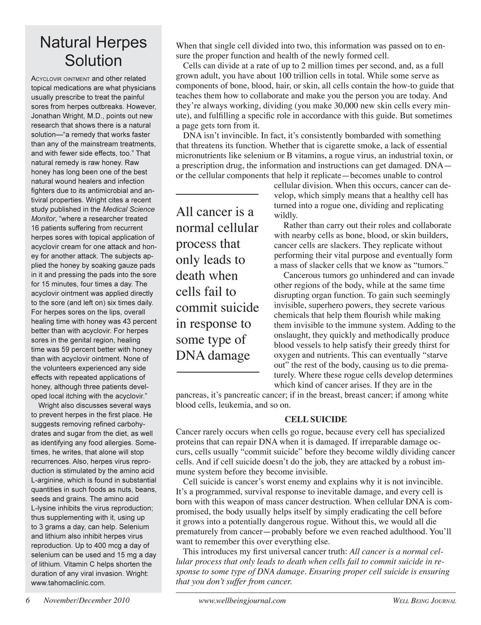 Well Being Journal Preview Pages