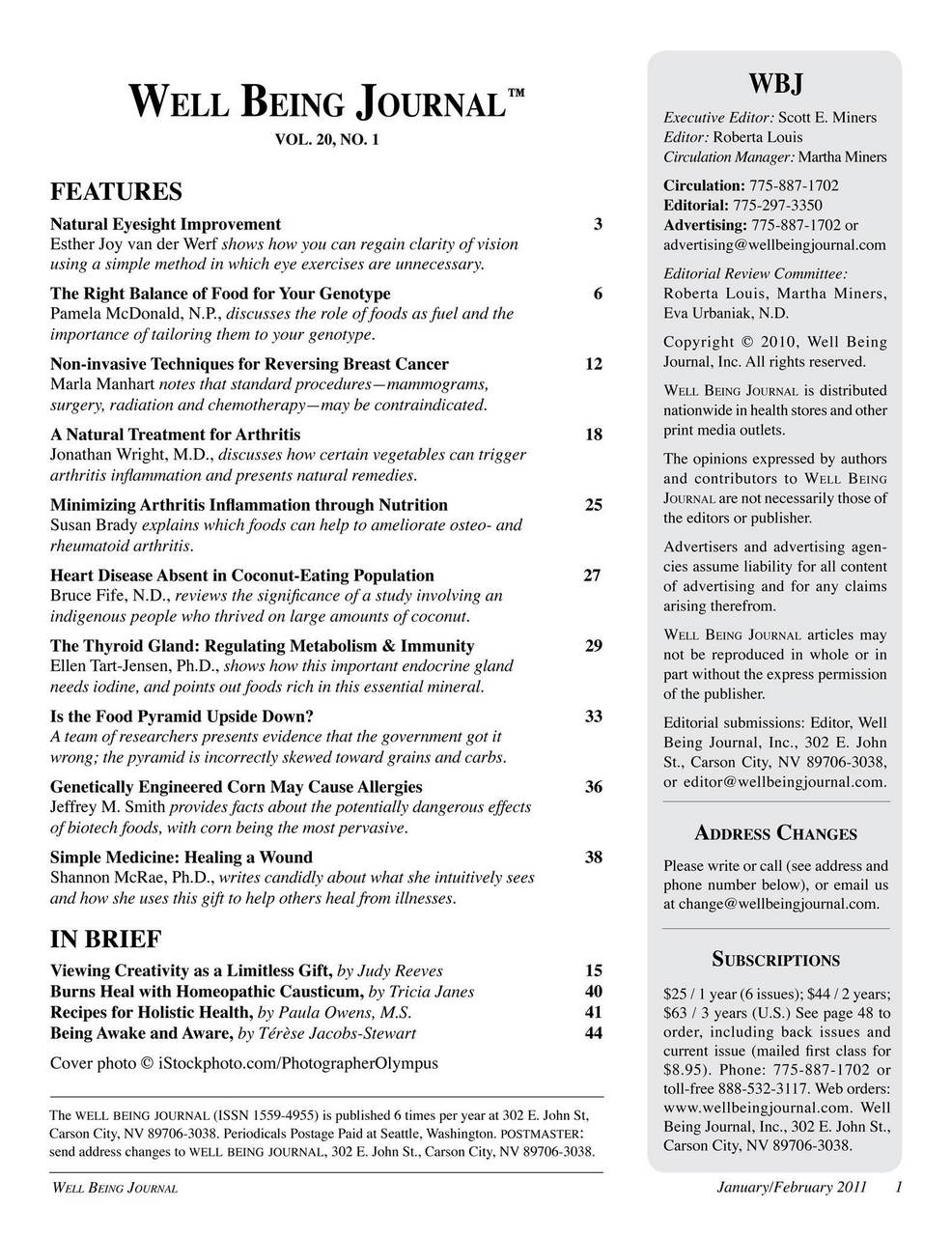 Well Being Journal Preview Pages