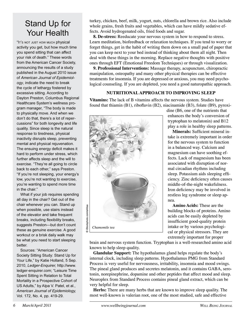 Well Being Journal Preview Pages