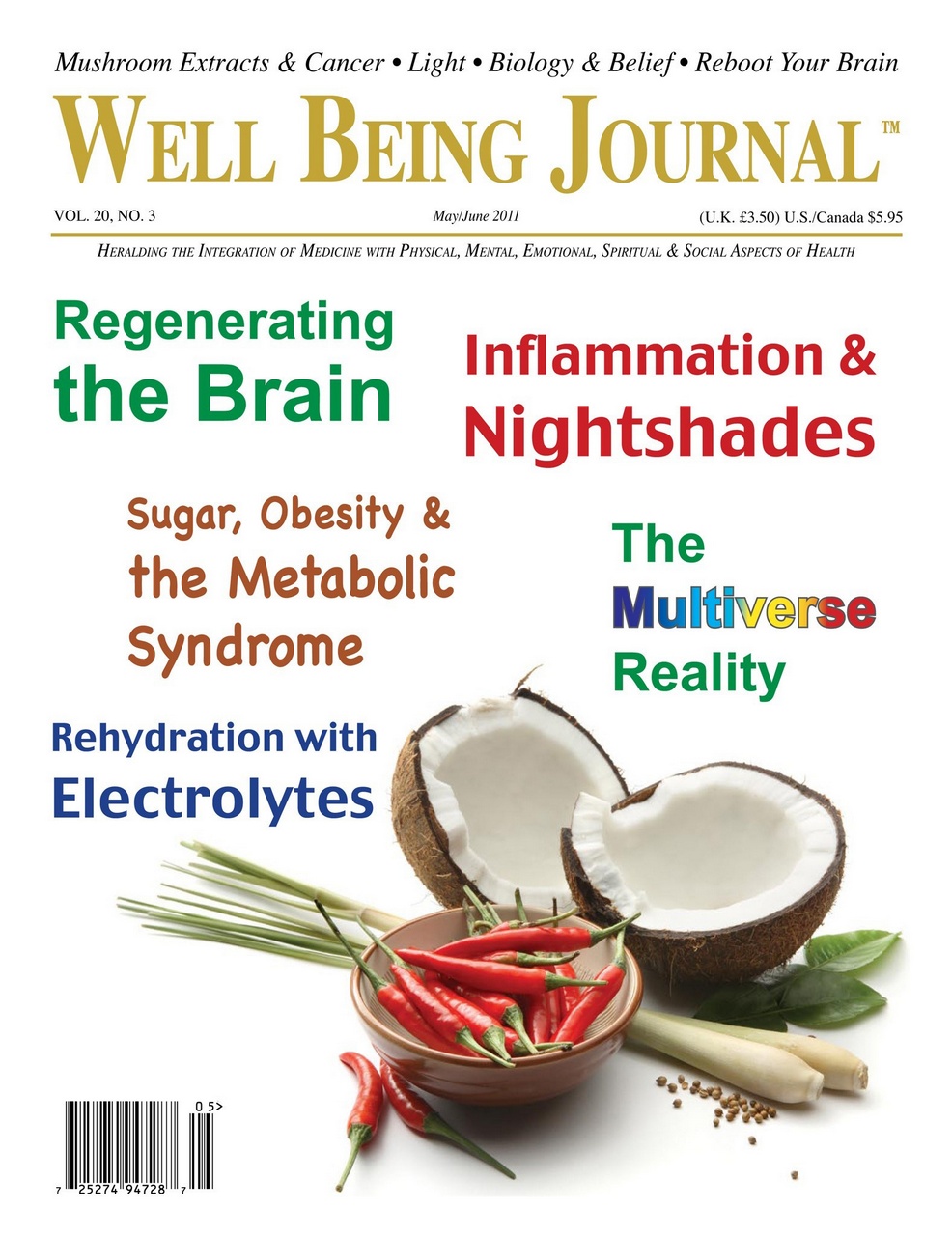 Well Being Journal Preview Pages