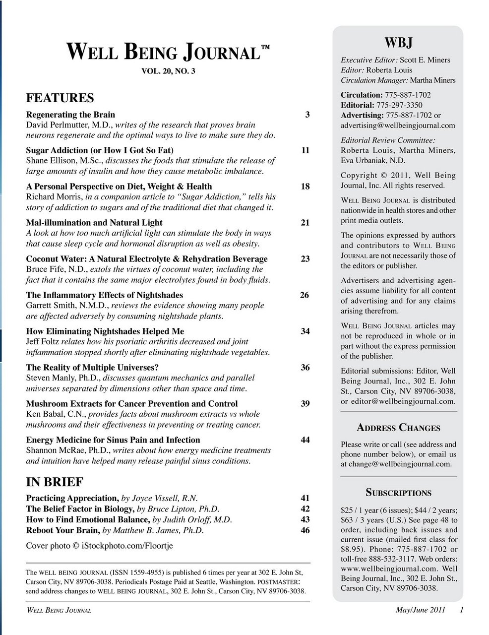 Well Being Journal Preview Pages