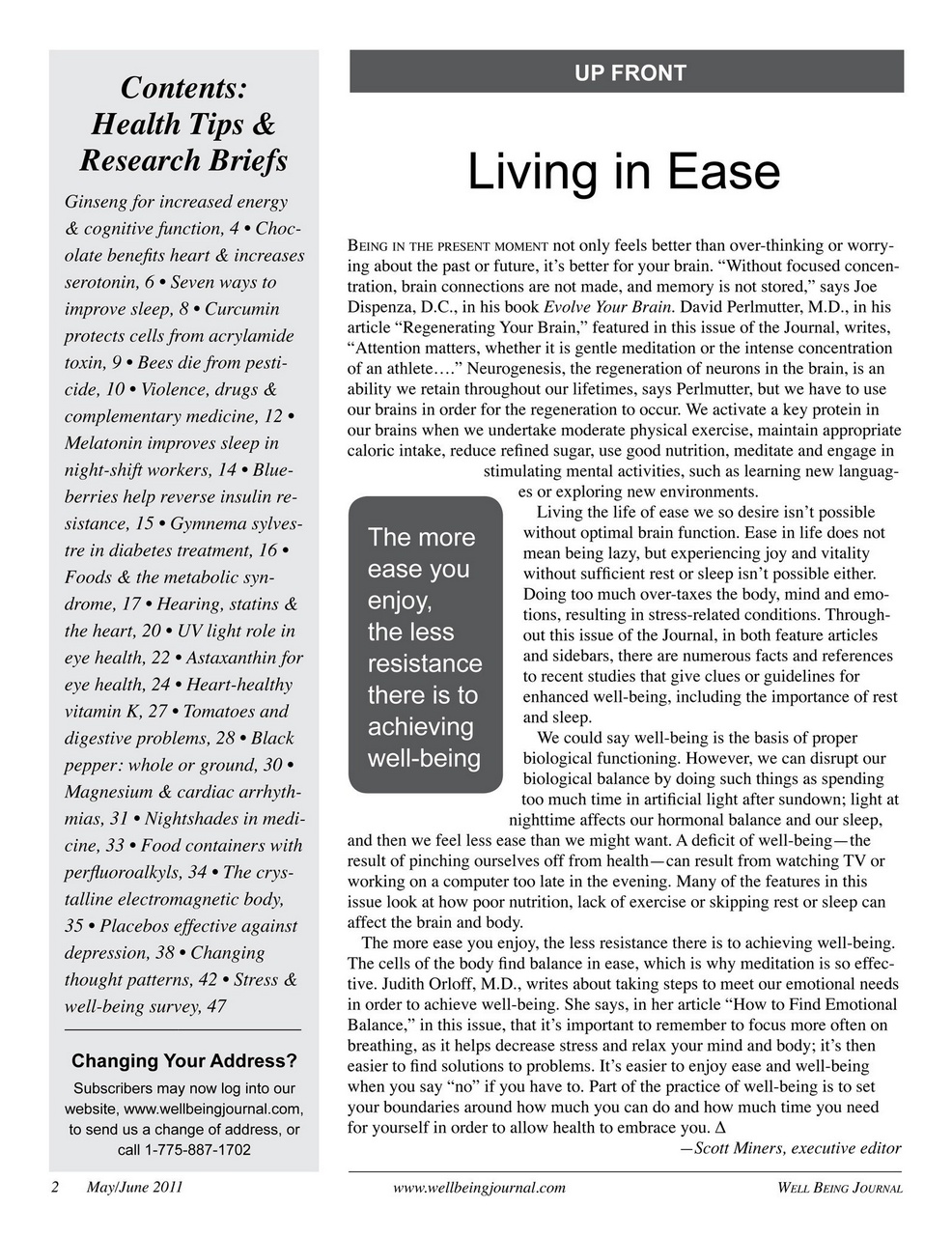 Well Being Journal Preview Pages