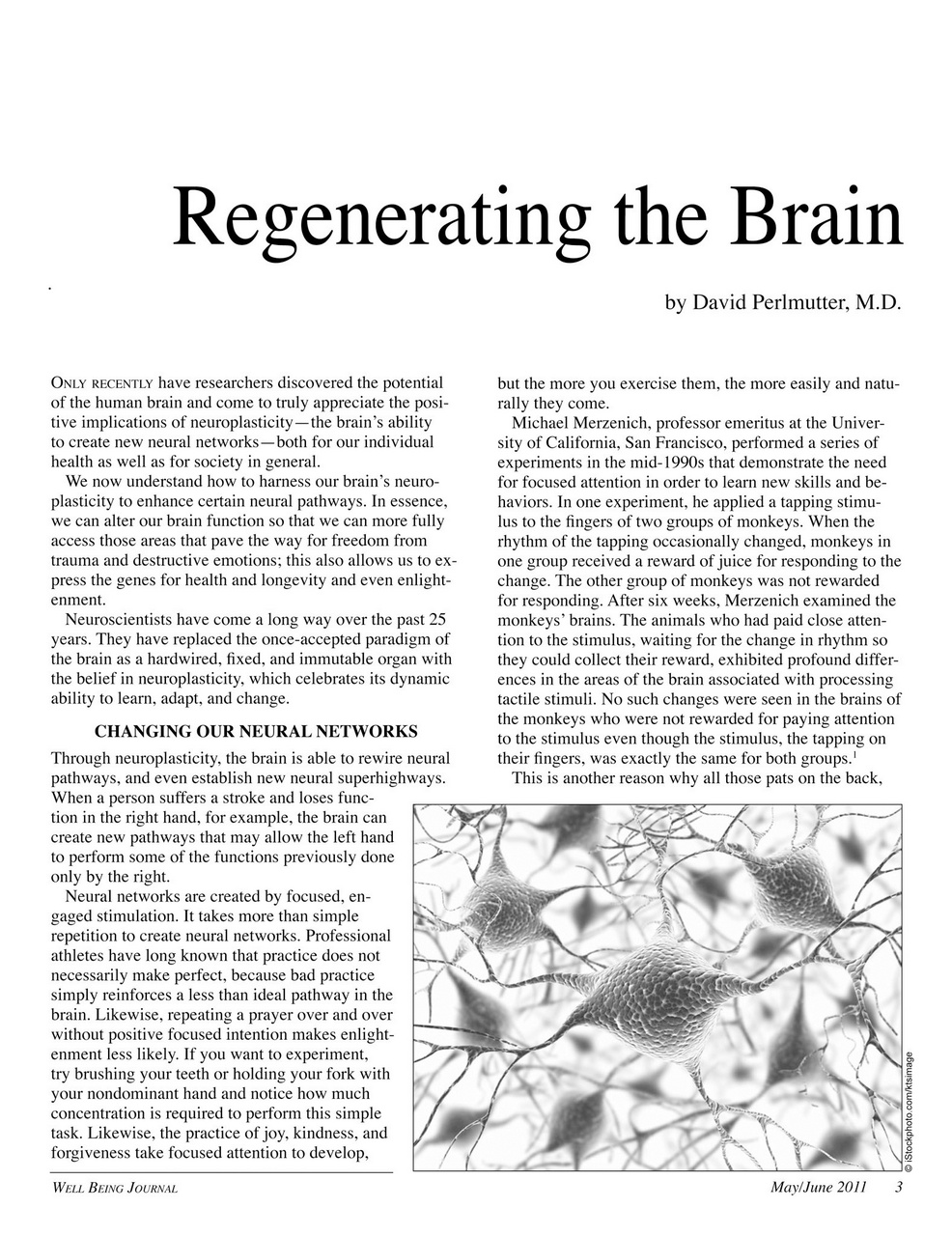 Well Being Journal Preview Pages