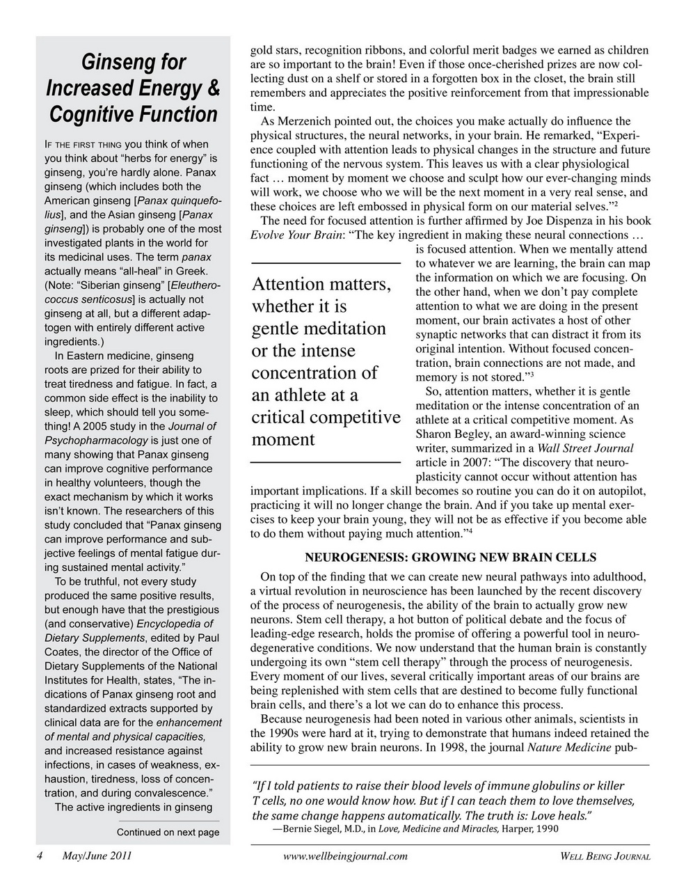 Well Being Journal Preview Pages