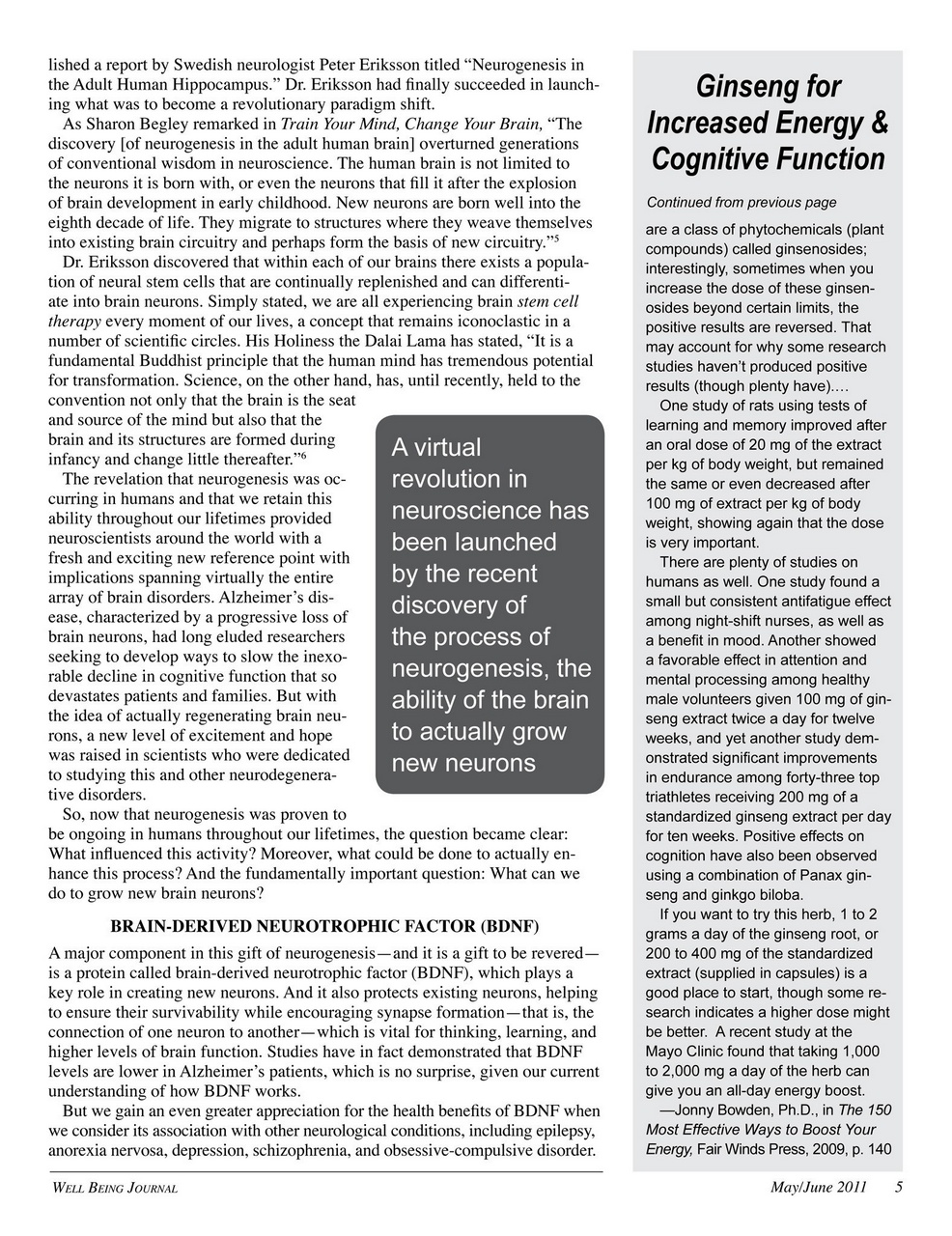 Well Being Journal Preview Pages