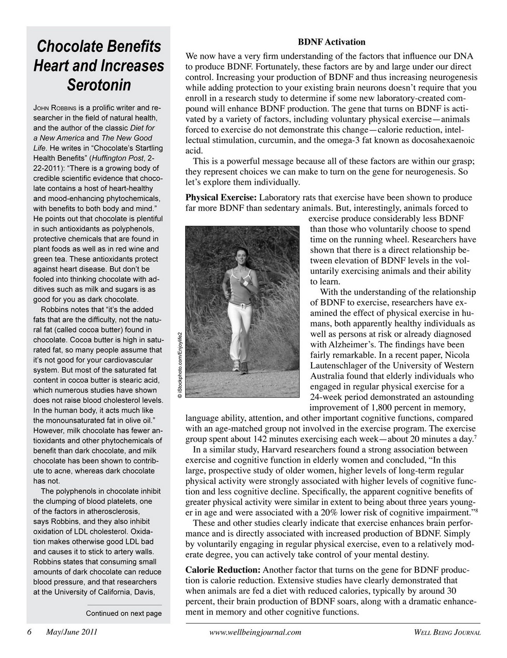 Well Being Journal Preview Pages