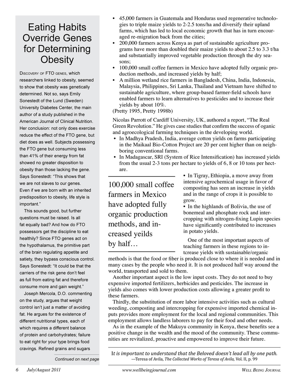 Well Being Journal Preview Pages